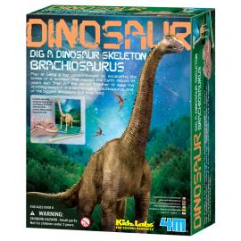 Kaivaussarja Brachiosaurus Skeleton
