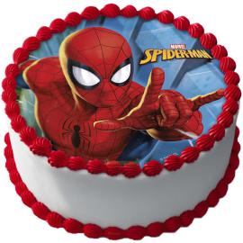 Spiderman Kakkukuva E