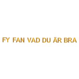 Viirinauha Fy Fan Vad Du &Auml;r Bra Kulta 5 m