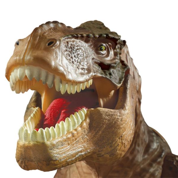 T-Rex Projektori ja Ovivahti