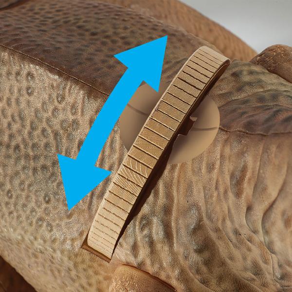 T-Rex Projektori ja Ovivahti