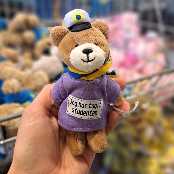 Ylioppilasnalle Karhu Hupparissa 16 cm