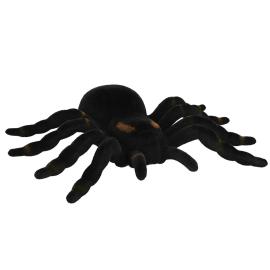 Lintuhämähäkki Musta/Ruskea