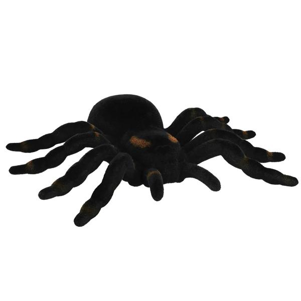 Lintuhämähäkki Musta/Ruskea