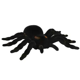 Lintuh&auml;m&auml;h&auml;kki Musta/Ruskea