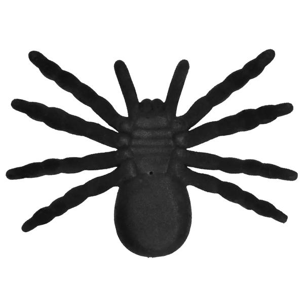 Lintuhämähäkki Musta/Ruskea