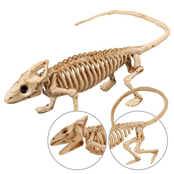 Iguaanin Luuranko Koriste