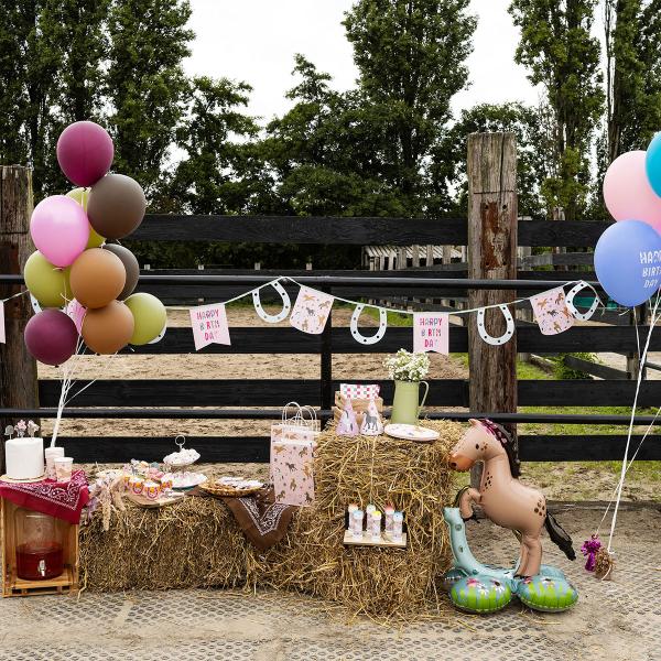 Hevonen Seisova Folioilmapallo 53 x 74 cm